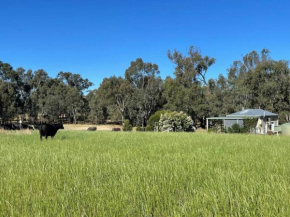 Bogaroo Cottage